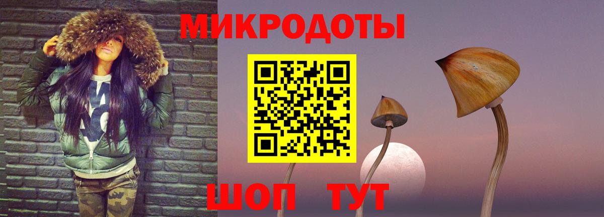 закладки  Вход с VPN  Кольчугино  Галлюциногенные грибы Psilocybe 