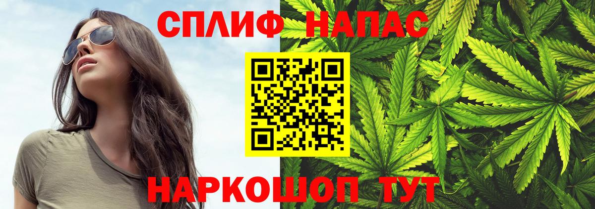Каннабис индика Кольчугино
